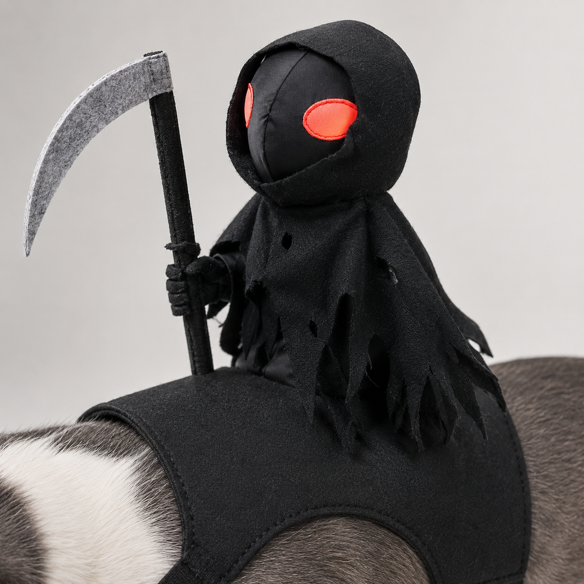 Grim Reaper Rider Pet Costume